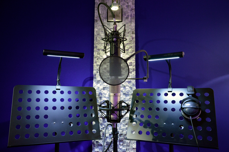 Photo Recording Room (vocal mics)