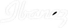 Logo Fender