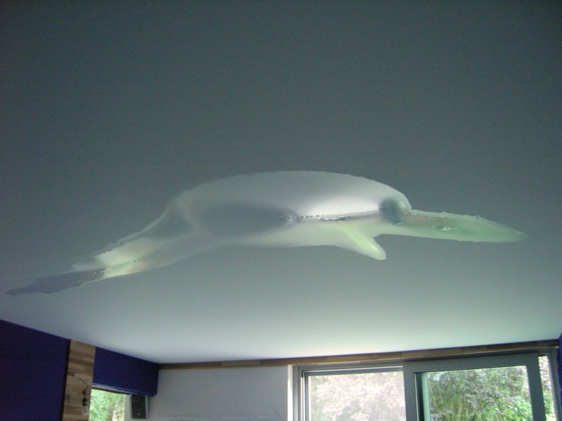 Photo water leakage