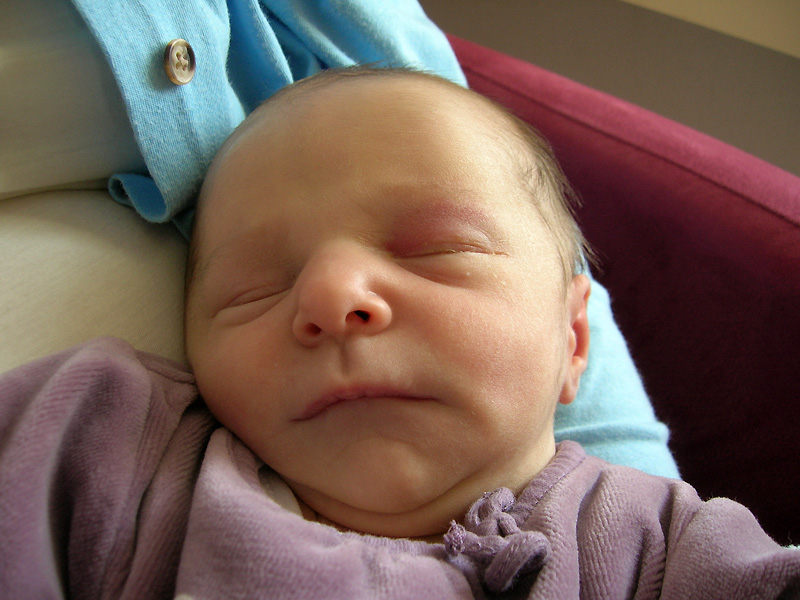 Photo Paulien