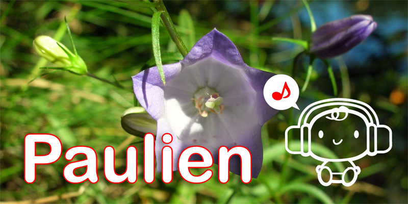 Graphic voorkant geboortekaartje Paulien