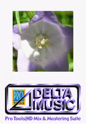 Logo Delta Music Belgium