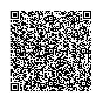 Graphic Smartphone vCard